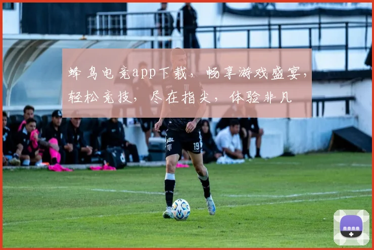 蜂鸟电竞app下载，畅享游戏盛宴，轻松竞技，尽在指尖，体验非凡