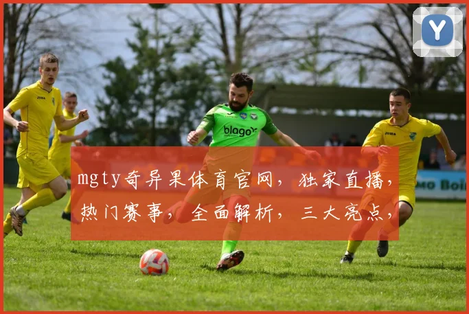 mgty奇异果体育官网，独家直播，热门赛事，全面解析，三大亮点，不容错过