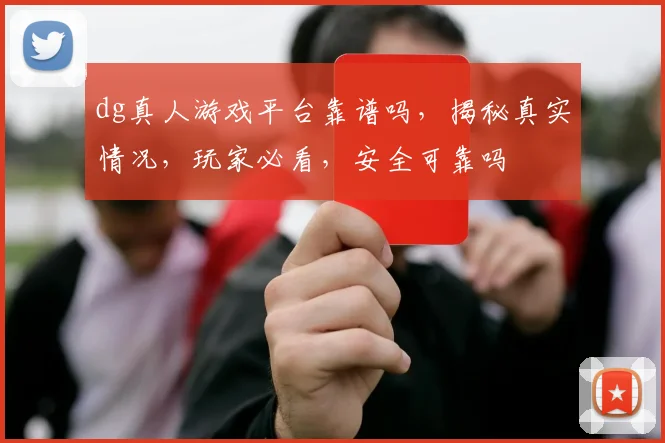 dg真人游戏平台靠谱吗，揭秘真实情况，玩家必看，安全可靠吗