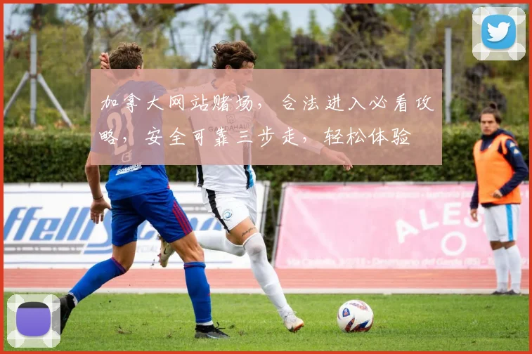 加拿大网站赌场，合法进入必看攻略，安全可靠三步走，轻松体验