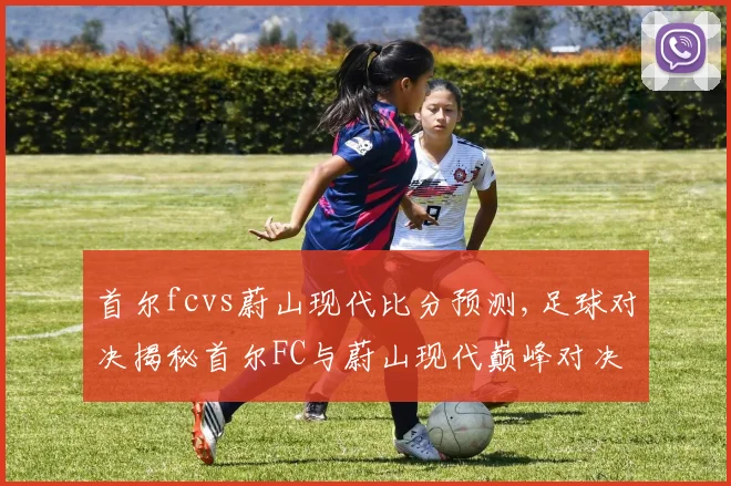 首尔fcvs蔚山现代比分预测,足球对决揭秘首尔FC与蔚山现代巅峰对决悬念